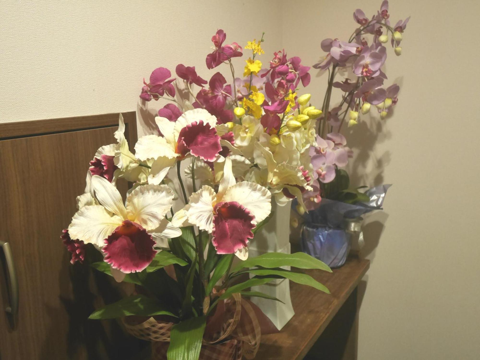 Guesthouse Grande今宮駅前 Osaka Exterior foto